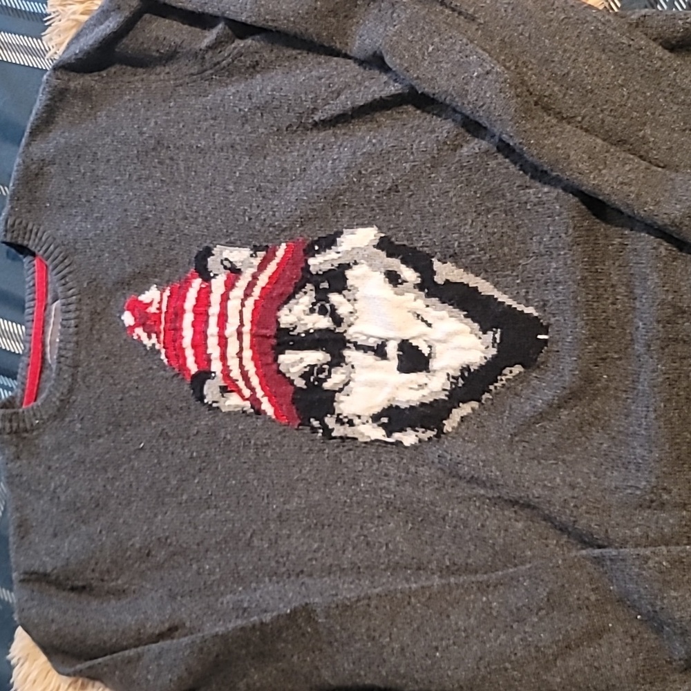 Areopastale winter husky sweater small
